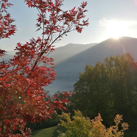 La Finestra Sul Lago Brusimpiano Экстерьер фото