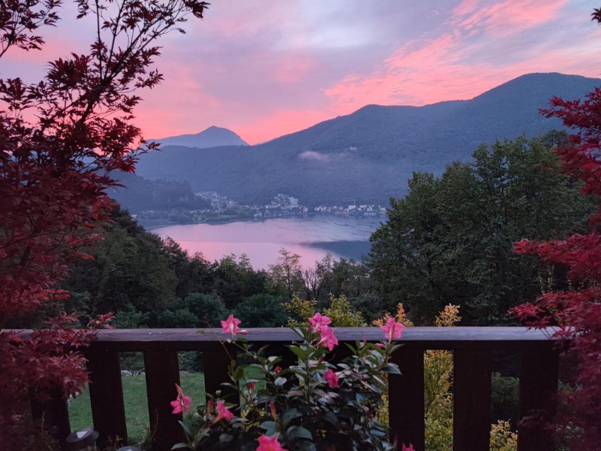 La Finestra Sul Lago Brusimpiano Экстерьер фото